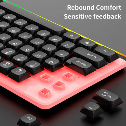 Keyboard, Luminous Keyboard and Mouse Set Hovering Keyboard Mechanical Feeling Gaming Mouse and Keyboard Colourful RGB Lights Wired Keyboard Wired Mouse, Christmas Gifts for Him/Her